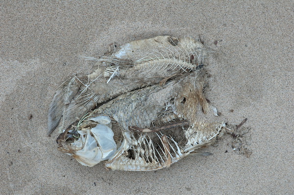 L&uuml;hrs - fotografie, ...und sonst 4